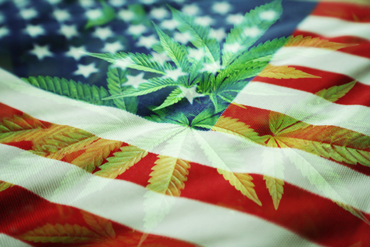 fourth of july cannabis stock