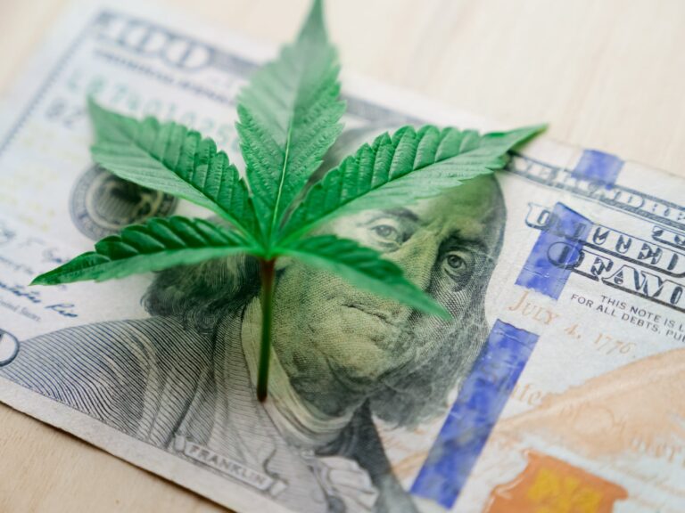 the cost of opening a dispensary state by state