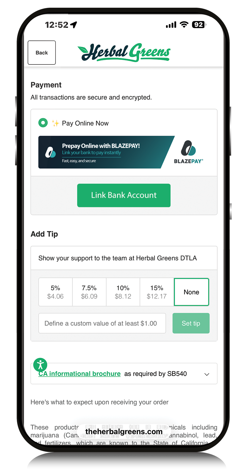 BLAZEPAY ACH pay online now
